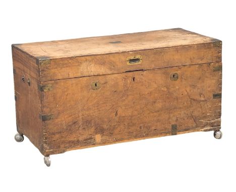 A large Mid 19th Century brass bound camphor wood trunk. 105x53x57cm 