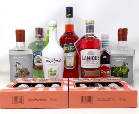 A litre bottle of Aperol, two bottles of Lazy Sunshine gin, a bottle of Plymouth gin, and other spirits (qty) 