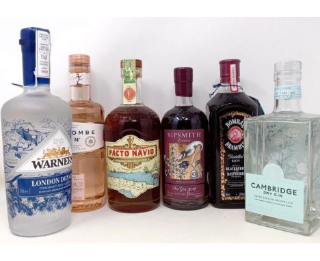 A bottle of Warner's gin, a bottle of Cambridge gin, and other gins (6) 