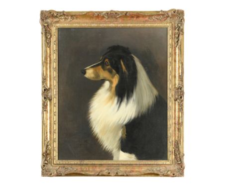 Lucy Hill (fl. c.1900)Portrait of a Rough Collie signed and inscribed with the dog's name lower left ' ""Waverly"" / Lucy Hil