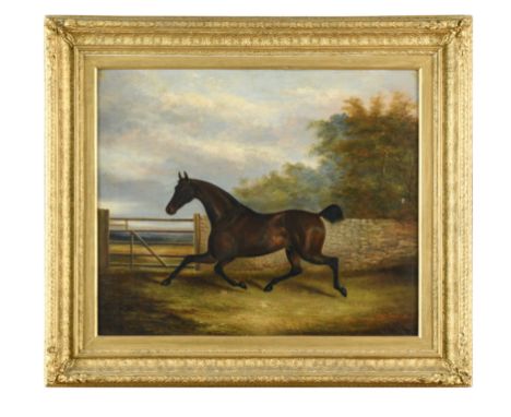 James and Albert Clark (British, 19th Century)Portrait of a trotting horse with a cropped tail signed lower right 'James Clar