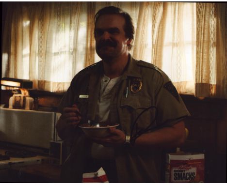 Tv and Film. David Harbour (Jim Hopper in Stranger Things) Signed 10 x 8 inch colour photo. Signed in black ink. Good conditi
