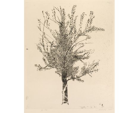 * Baskin (Leonard, 1922-2000). The Great Tree, 1961, etching with aquatint on Arches heavy cream wove, an artist's proof, sig