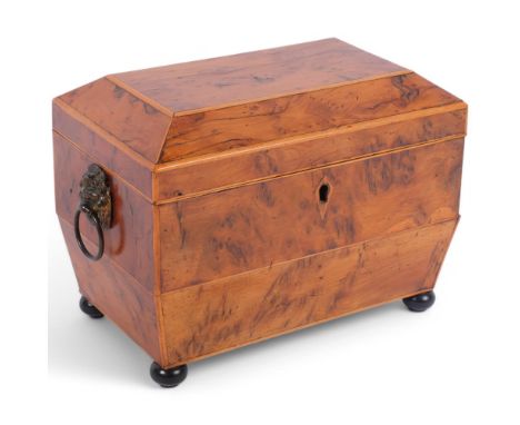 A Regency burr-yew wood sarcophagus tea caddy, with 2 interior removeable compartments, brass lion ring handles and bun feet,