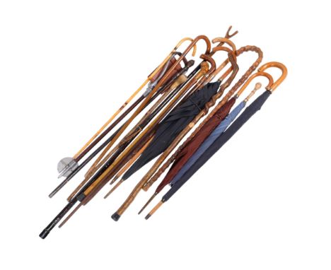 A group of walking sticks and a shooting stick, and umbrellas