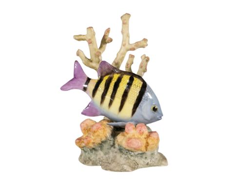 Stunning sculpture depicting a fish with purple stripes swimming through the coral reef. Royal Worcester backstamp. Artist: R