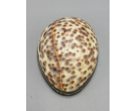 Early 19th century Cowrie shell snuff box, white metal oval reeded edged mount with hinged cover, L8cm