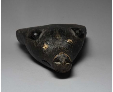 An unusual carved dog headOceanic, possibly a canoe prowwith scroll ears, inset shell eyes and with a long muzzle, with black