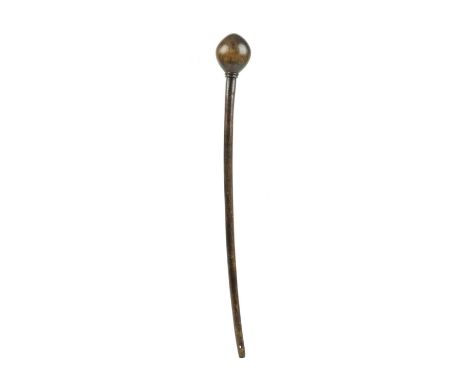 λA Zulu knobkerrie South Africa rhinoceros horn, with an ovoid head above two ribbed bands and a tapered shaft, the end pierc