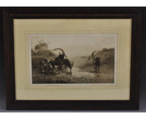 Archibald Thorburn (1860 - 1935) after, Gemsbok at the Watering Hole, signed in pencil to margin, lithograph, 26cm x 44cm