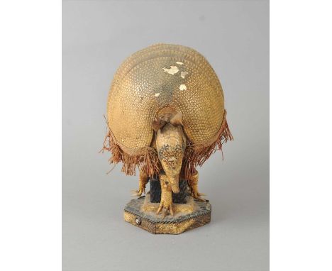 An unsusal, decorative taxidermy Armadillo lamp, the shade or top formed from the carapace, head and tale, with a tassel bord