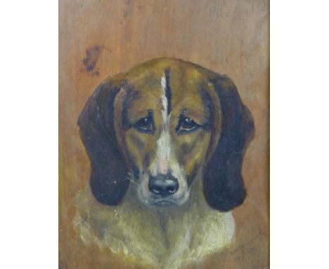 Dorothea Paget (British, early 20th century): 'Pilot', a canine portrait of a hound, titled upper right, signed and dated 'Ma