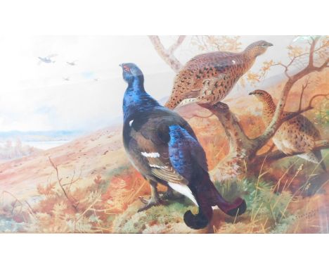 After Archibald Thorburn. Pheasant and grouse, print, copyright 1986, 31cm x 47cm.