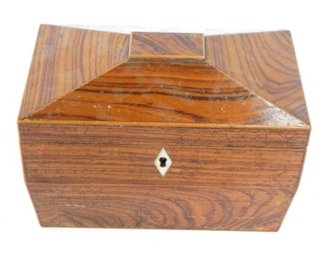 A Victorian tea caddy, with a canted and shaped top, with lion mask brass handles, with fitted interior, possibly tiger wood,