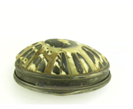 AN EARLY 19TH CENTURY SILVER MOUNTED CARVED COWRIE SHELL SNUFF BOX, UNMARKED