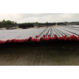 LOT OF (30) PIECES OF SM2535 NICKEL BASE OCTG TUBING , 3.50 OD X 2.751 ID, APPROX. 31' - 34' LONG, 1