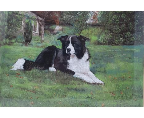 English school, 20th century, a portrait of a border collie, pastel, 22 x 33 cm, and an early 20th century, study of a sheepd