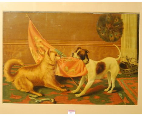 A Victorian birds eye maple framed print of dogs playing in an interior, 39x59cm