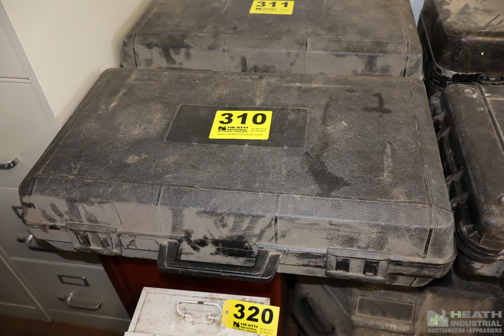 Lot 310