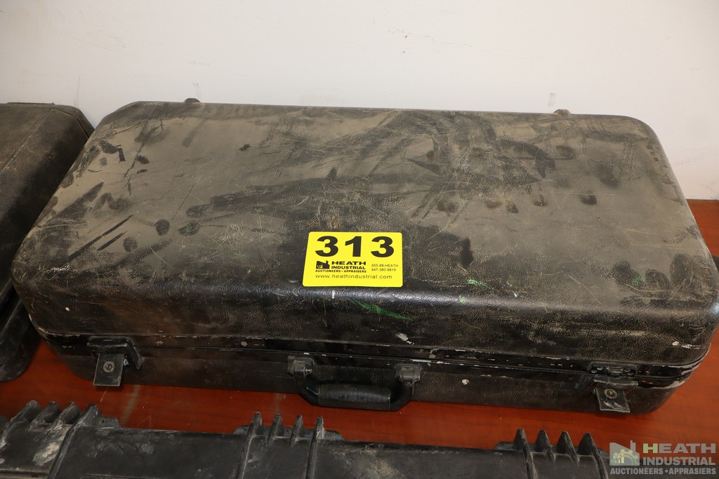 Lot 313
