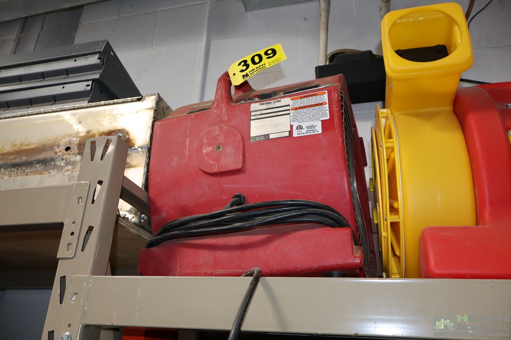 Lot 309