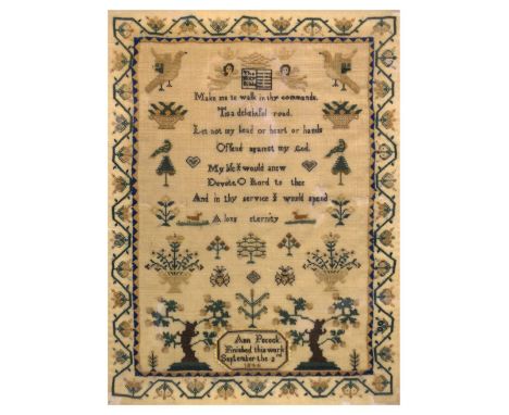 Needlework sampler worked in petit point by Ann Pocock, 1844, 43.5cm x 33.5cm Condition: Darkening to the centre of the panel