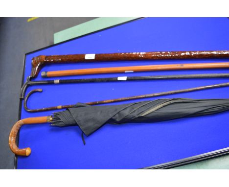Collection of Walking Sticks and Canes Including Silver Tipped plus Dog Shaped Walking Stick with 9ct Gold Presentation Plaqu
