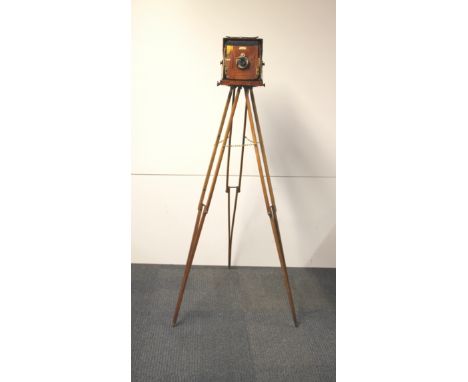 A Junior Sanderson mahogany plate camera with a wooden folding tripod with three mahogany plates.