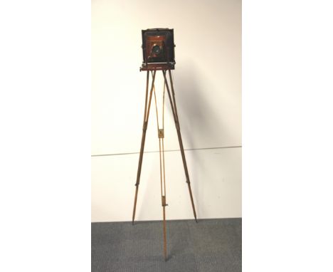 A Thornton-Pickard mahogany triple extension&nbsp; plate camera with folding wooden tripod and three mahogany plates.