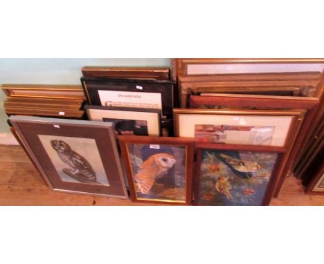 A large collection of pictures and prints, including a gros point wool work study of finches, framed Edwardian portrait print