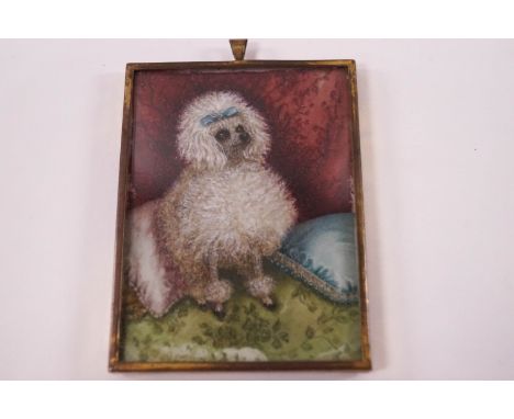 An early 20th century French miniature portrait of a poodle, watercoour on ivory, signed indistinctly lower left, 10cm x 7.5c