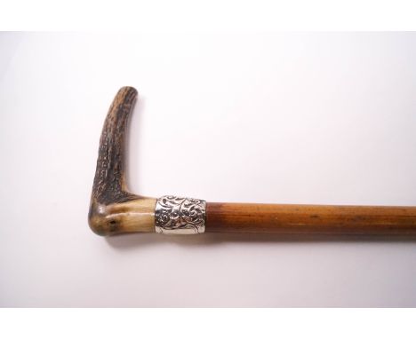 A malacca walking stick with horn handle and silver collar