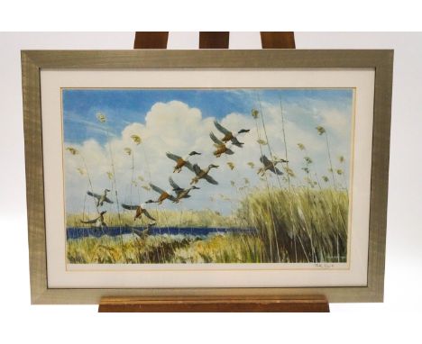 Peter Scott, Ducks taking flight out of the reeds, coloured print, signed in pencil in the margin, 42cm x 62cm