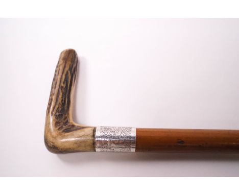 A malacca walking stick with 1 1/2" silver collar