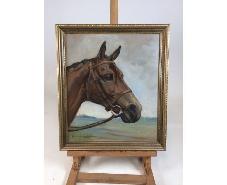 Framed original acrylic on board horse portrait. Signed Joan Barrington to corner. Good condition.W:37.5cm x D:2.5cm x H:43cm