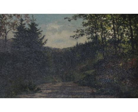 Puhonny, Victor: (1838 Prag - Baden-Baden 1909). Landschaft im Schwarzwald. Öl auf Leinwand. 23,2 x 33,1 cm. - Engert 139. WV