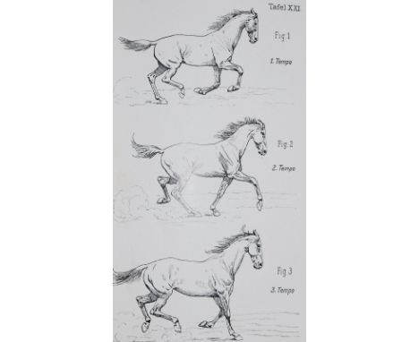 Fillis,J.: Grundsätze der Dressur und über die Reitkunst. Deutsch v. M. v. Zansen gen. von der Osten. Berlin 1905. Mit Portr.