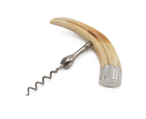 Boar's tooth handled corkscrew, with steel screw and silver cap hallmarked London 1901, stamped A. Barrett &amp; Sons.&nbsp; 