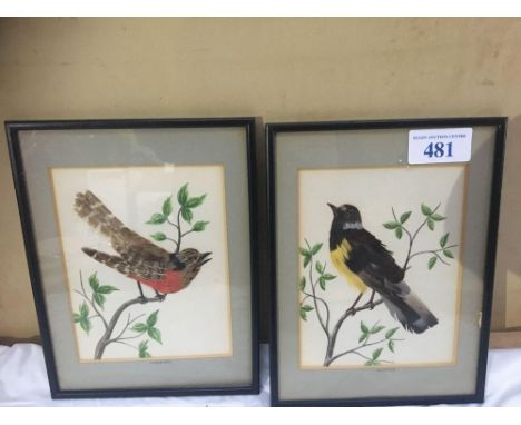 Sale Item:    PAIR BIRD PICTURES PRIMAVERA &amp; TROPICON  Vat Status:   No Vat   Buyers Premium:  This lot is subject to a 