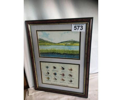  Sale Item:    FRAMED FLIES &amp; PICTURE SOUTH UIST  Vat Status:   No Vat   Buyers Premium:  This lot is subject to a Buyers