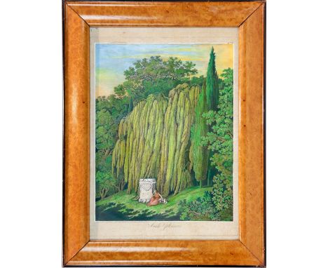 Hackert, Jakob Philipp (Prenzlau, San Piero di Careggi b. Florenz 1737-1807) Saule Pleureur   A. 19. Jh. Radierung, neuzeitli