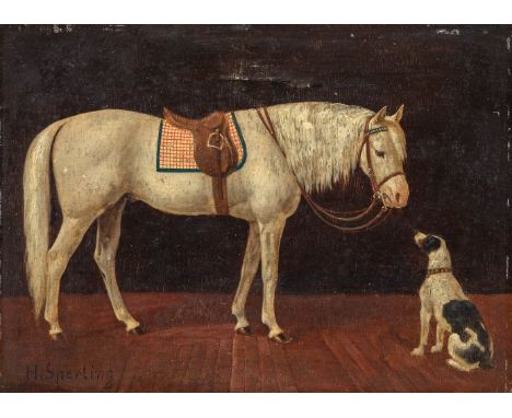 Sperling, Heinrich (Warnkenhagen, Berlin 1844-1924) Gesattelter Schimmel  Vor ihm aufmerksam blickender Beagle. Im Stall. Sig