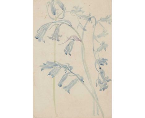 CHARLES RENNIE MACKINTOSH (1868-1928) HAREBELLS  watercolour, later framed   Dimensions:sheet size 27.3cm x 23.4cm (frame 47c