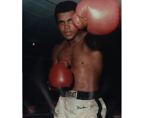 ALI MUHAMMAD: (1942-2016) American Boxer, World Heavyweight Champion. Large signed colour 16 x 19 photograph of Ali standing 