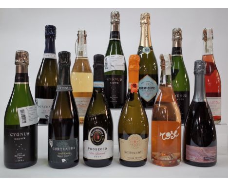 12 BOTTLES SPARKLING WINE (MIXED ORIGIN)3 x U Mes U Fan Tres Cygnus Sador Organic Brut Nature NV: Cortenera Durello Riserva E