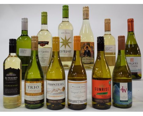 12 BOTTLES CHILEAN WHITE WINEEl Tesoro de las Montanas Chardonnay; Trio Reserva The Art of Blending; Frontera Chardonnay; Wil