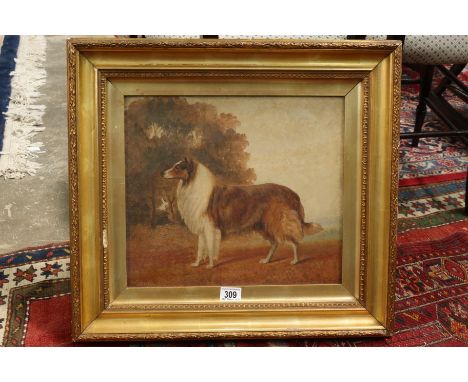 British school (early 20th Century), portrait of a collie dog standing in a landscape, indistinctly signed and dated 1909 l.l