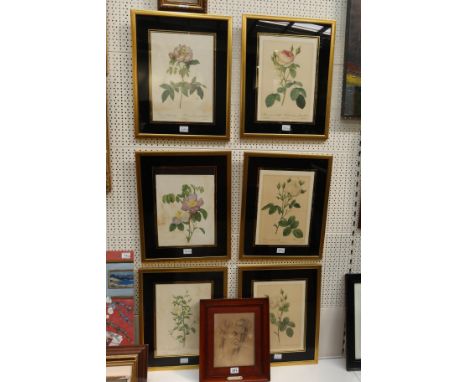 A set of six botanical studies, after Redoute, prints, in eglomise mounts, framed, and an old master print, (7)