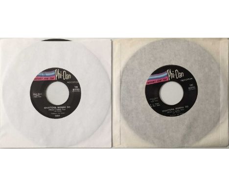 THE IKETTES - WHAT'CHA GONNA DO 7" PACK (US STOCK &amp; PROMO COPIES). A superb pack of 2 7" containing the stock US and a US