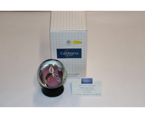 A Caithness "Millennium Vision" paperweight 